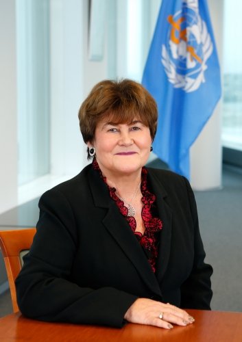 Jakab Zsuzsanna,  a WHO európai régiójának az elnöke